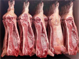 Переработка мяса на предприятиях мясной промышленности