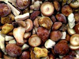 Шоковая заморозка грибов